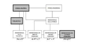 Quadro capacità condizionali -Personal Trainer Taranto - Lanza Personal Trainer