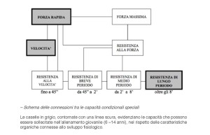 Schema delle connessioni tra le capacità condizionali speciali - Personal Trainer Taranto - Lanza Personal Trainer