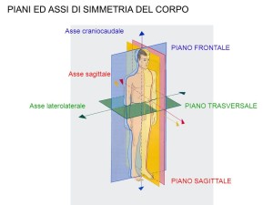 Assi riferimento|Corpo umano|Personal Trainer taranto|Lanza Personal Trainer